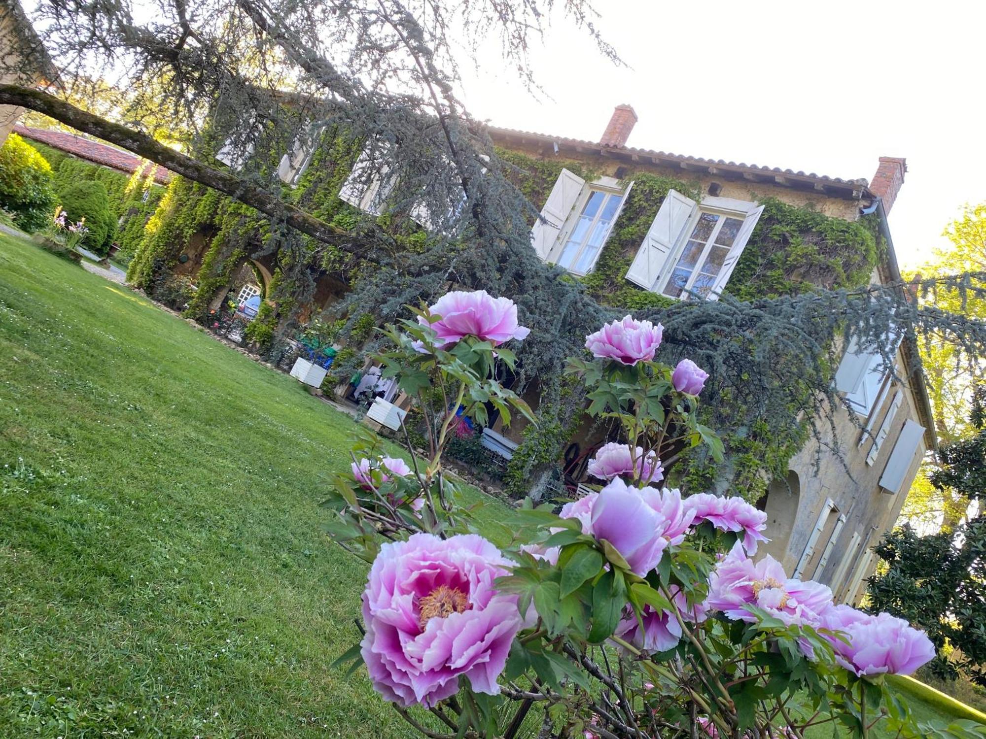 La Seigneurie De Tillac Buitenkant foto